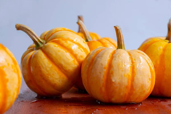 Fresh small pumpkins on the dining table