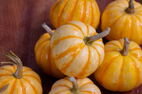 Fresh small pumpkins on the dining table