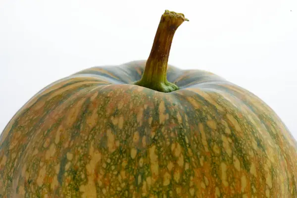 Calabaza Fresca Fondo Blanco — Foto de Stock