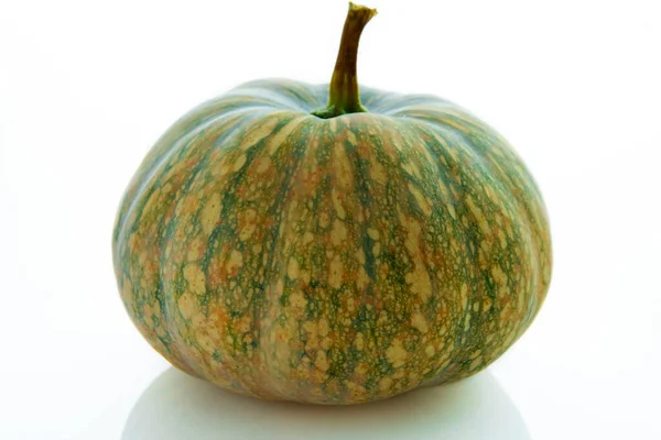 Zucca Fresca Sfondo Bianco — Foto Stock