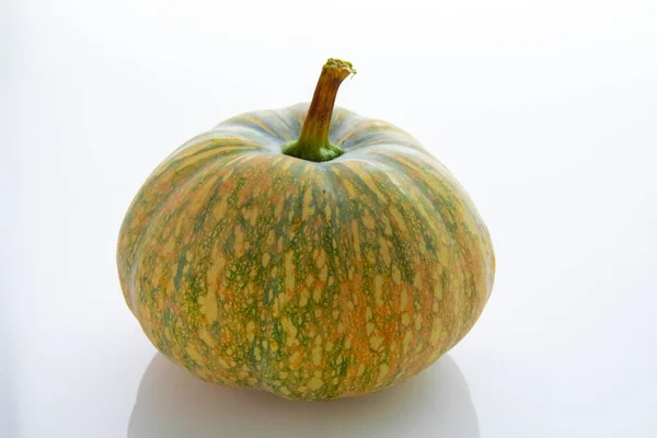 Calabaza Fresca Fondo Blanco — Foto de Stock