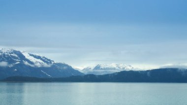 Buzul Körfezi 'ndeki ada, Glacier Körfezi Ulusal Parkı, Alaska, ABD