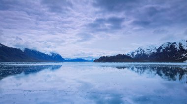 Alaska 'daki Buzul Körfezi Ulusal Parkı' nda seyir gemisi.