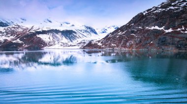 Alaska 'daki Buzul Körfezi Ulusal Parkı' nda seyir gemisi.