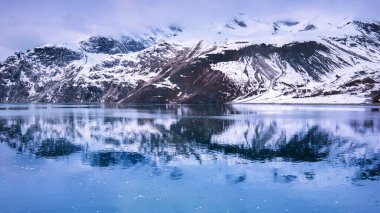 Alaska 'daki Buzul Körfezi Ulusal Parkı' nda seyir gemisi.