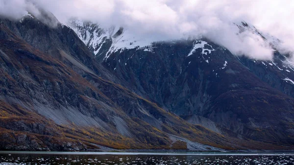 Crucero Navegando Parque Nacional Glacier Bay Alaska —  Fotos de Stock