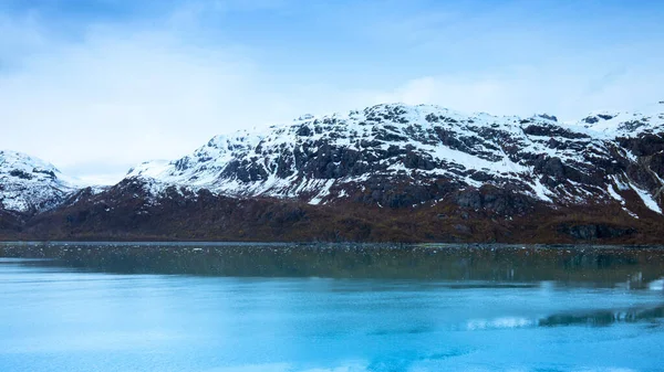 Alaska Daki Buzul Körfezi Ulusal Parkı Nda Seyir Gemisi — Stok fotoğraf