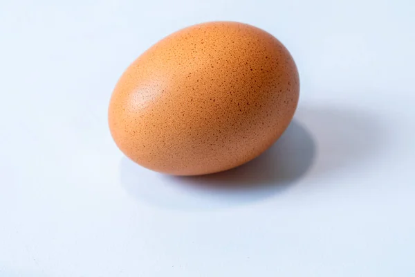 白を基調とした一卵 — ストック写真
