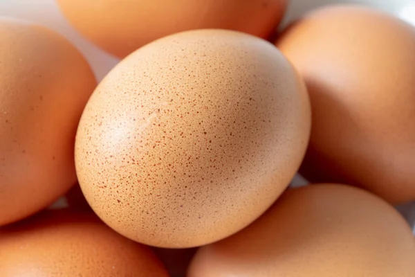 白い磁器の中の卵 — ストック写真