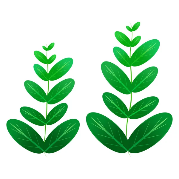 Decoración Elementos Vegetales Hoja Verde Aislado Para Diseño Arte Del — Vector de stock