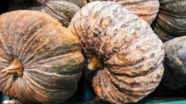 yakın çekim kabak içinde çarşı