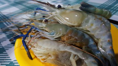 dev nehir karides, karides yumurta ile dev tatlı su karides