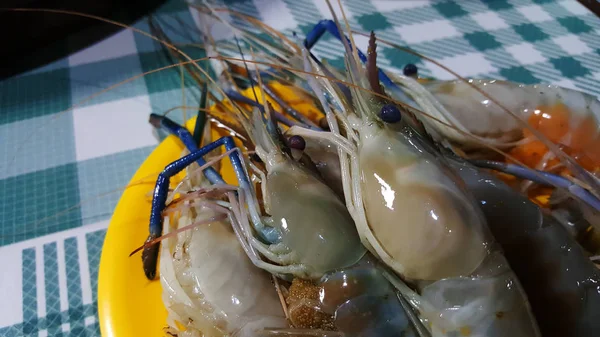 Langostino Gigante Río Langostino Gigante Agua Dulce Con Huevos Camarón —  Fotos de Stock