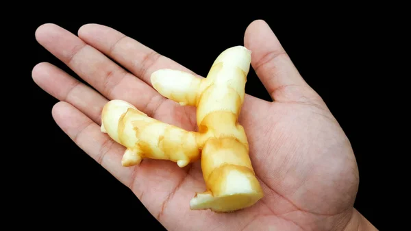 Zerdeçal Curcuma Mangga Organik Yandan Kırpma Yolu Ile Beyaz — Stok fotoğraf