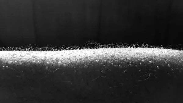 Sweat Skin Arm Hot Weather — Stock Photo, Image