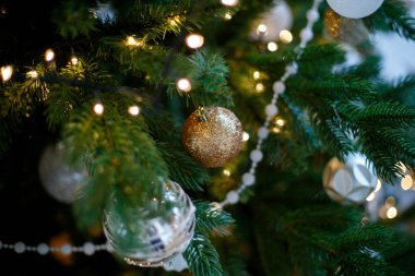 Yeşil Noel dalları beyaz ve altın topları, boncuk ve çelenk ile dekore