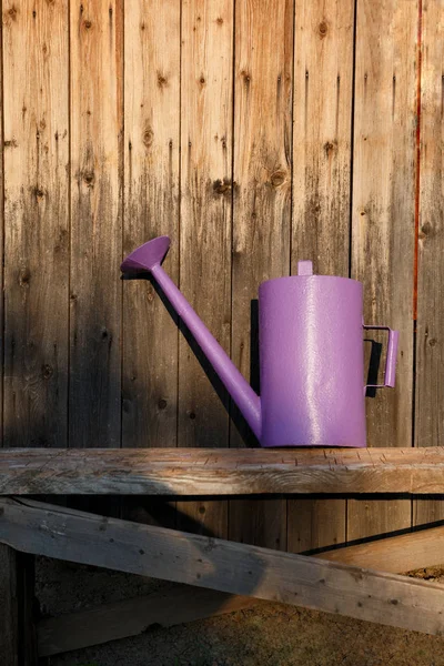 Lilac watering can on a bench against a wooden wall — Stock Photo, Image