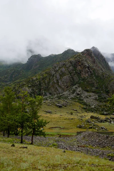 Roccia avvolta nella nebbia ricoperta di erba verde — Foto Stock