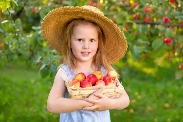 Elma Bahçesindeki Çocukların Portresi Hasır Şapkalı Mavi Çizgili Elbiseli Küçük — Stok fotoğraf