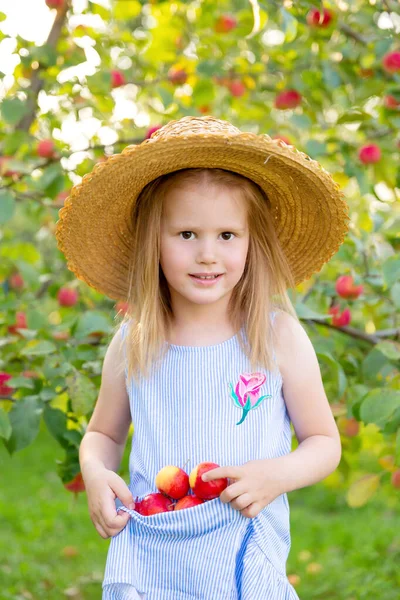 Portrait Children Apple Orchard Little Girl Straw Hat Blue Striped — Stock Photo, Image