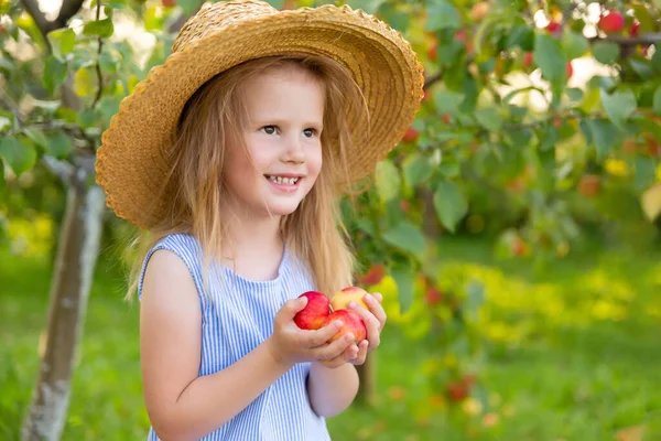 Elma Bahçesindeki Çocuk Portresi Hasır Şapkalı Mavi Çizgili Elbiseli Elinde — Stok fotoğraf
