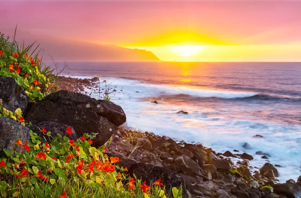 Zčervenat růžovo slunce s květinami a oceánem na severním pobřeží Madeiry. — Stock fotografie