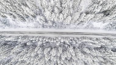Kışın karla kaplı orman, yol kesimle birlikte. Beyaz kış harikalar diyarı
