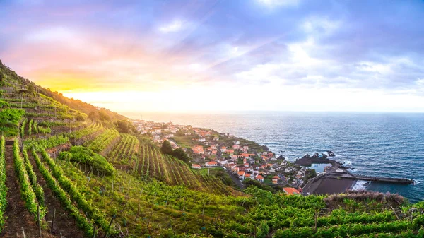 Viñedos de Madeira al atardecer, por encima del municipio de Seixal —  Fotos de Stock