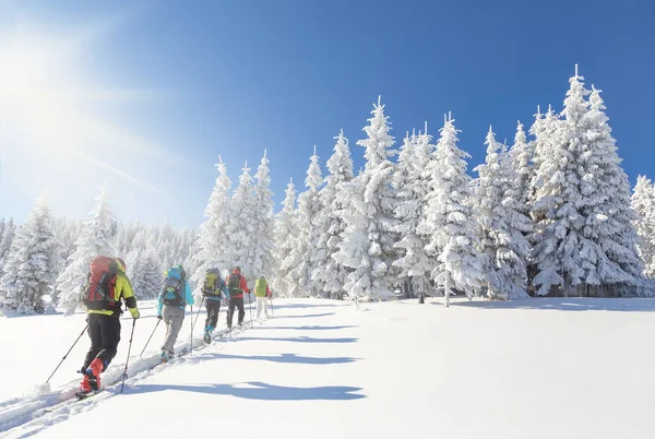 Groupe de skieurs de l'arrière-pays montant vers un chri enneigé — Photo