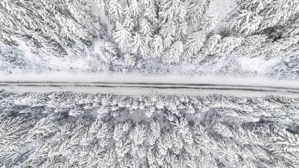 Snow covered forest in winter with road cutting through. White winter wonderland