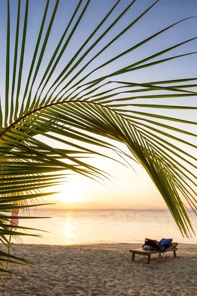 Krzesło plażowe pod palmami liść na tropikalnej wyspie, w pobliżu Pala — Zdjęcie stockowe