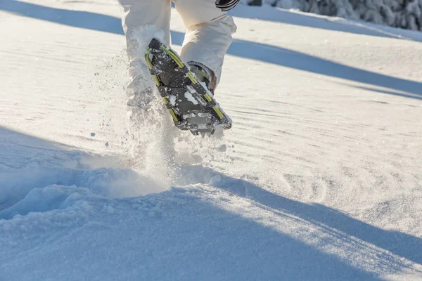 Flicka snöskor på en solig dag — Stockfoto