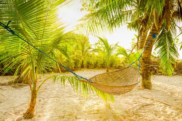 Tradycyjny hamak z plecionką między drzewami PAL w słońcu na tropikalnej plaży — Zdjęcie stockowe