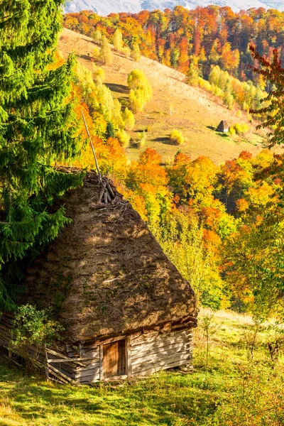 Paisagem de outono, casa de telhado de palha tradicional em montanhas Apuseni, Transilvânia — Fotografia de Stock