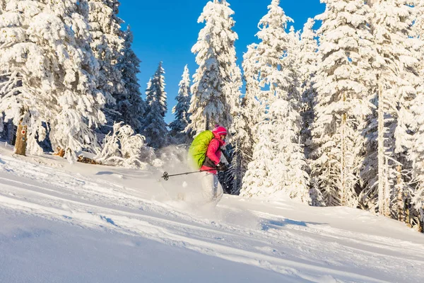 Menina snowshoeing em um dia ensolarado — Fotografia de Stock