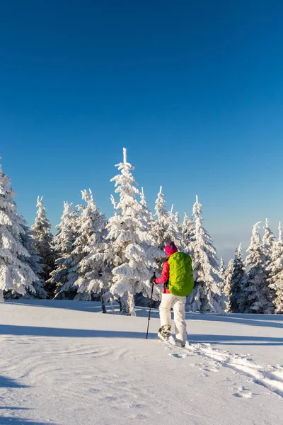 Menina snowshoeing em um dia ensolarado — Fotografia de Stock