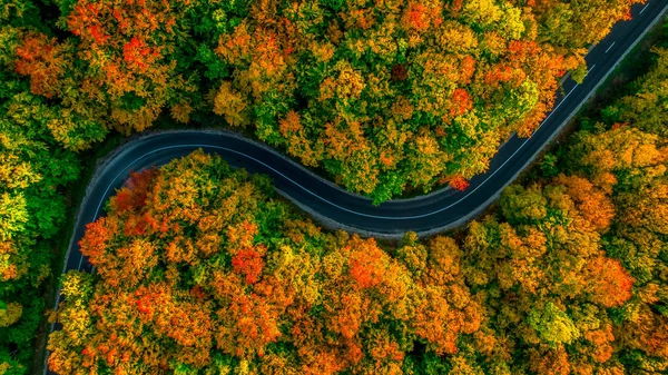 Aerial view of thick forest in autumn with road cutting through — Stock Photo, Image