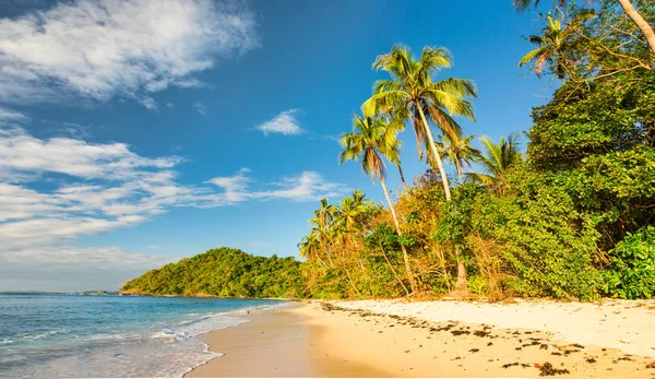 Praia tropical caribenha selvagem intocada ao pôr-do-sol — Fotografia de Stock