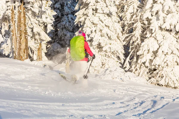 Menina snowshoeing em um dia ensolarado — Fotografia de Stock