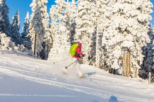 Menina snowshoeing em um dia ensolarado — Fotografia de Stock