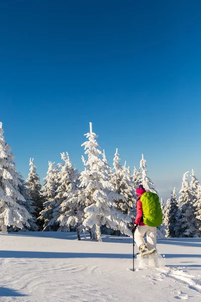 Menina snowshoeing em um dia ensolarado — Fotografia de Stock
