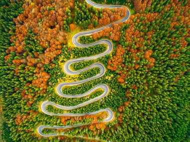 Sonbahar renkli ormanlarda dolambaçlı yol manzarası