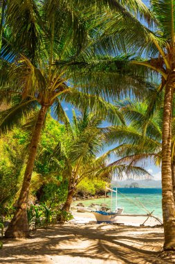 Palawan Adası, Phili güzel bir tropikal plajda Banca tekne