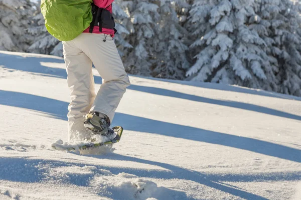 Menina snowshoeing em um dia ensolarado — Fotografia de Stock