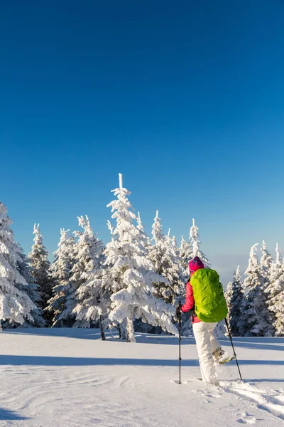 Menina snowshoeing em um dia ensolarado — Fotografia de Stock