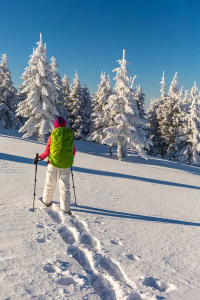 Menina snowshoeing em um dia ensolarado — Fotografia de Stock