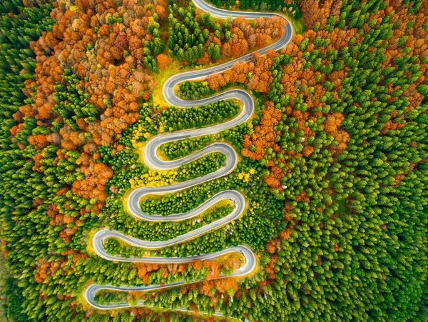 Aerial view of winding road through autumn colored forest — Stock Photo, Image