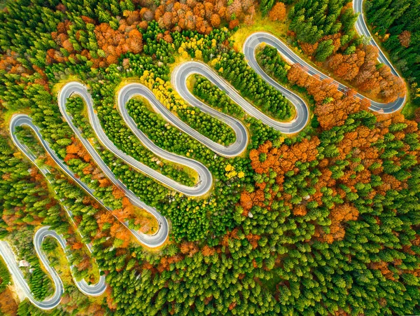 Luchtfoto van kronkelende weg door herfst gekleurd bos — Stockfoto