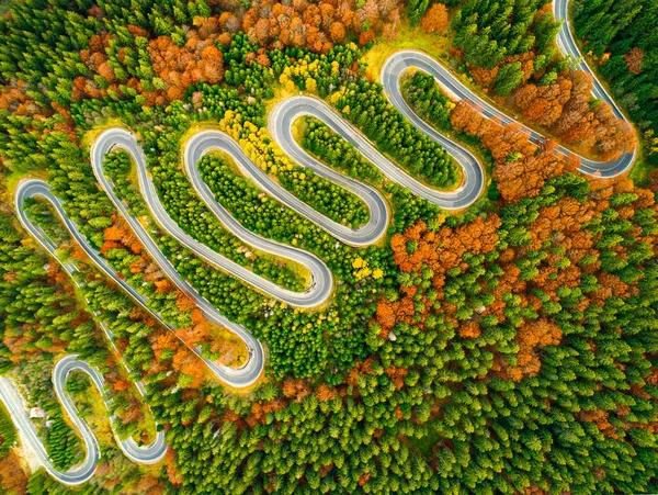 Vue aérienne de la route sinueuse à travers la forêt colorée d'automne Image En Vente