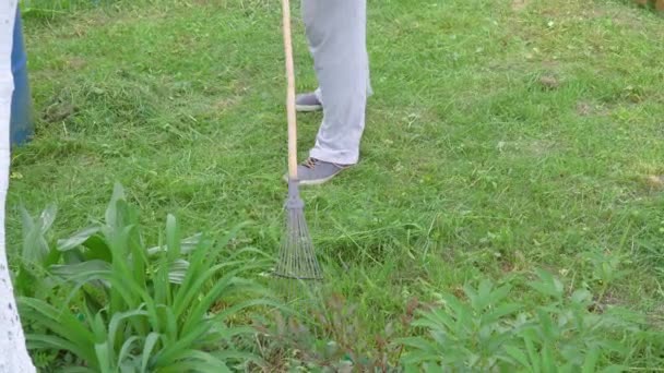 Nahaufnahme Eines Mannes Der Mit Einer Harke Frisch Gemähtes Gras — Stockvideo